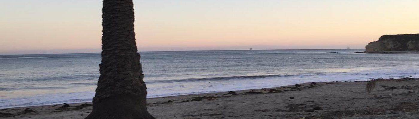 Jennifer Minniti-Shippey